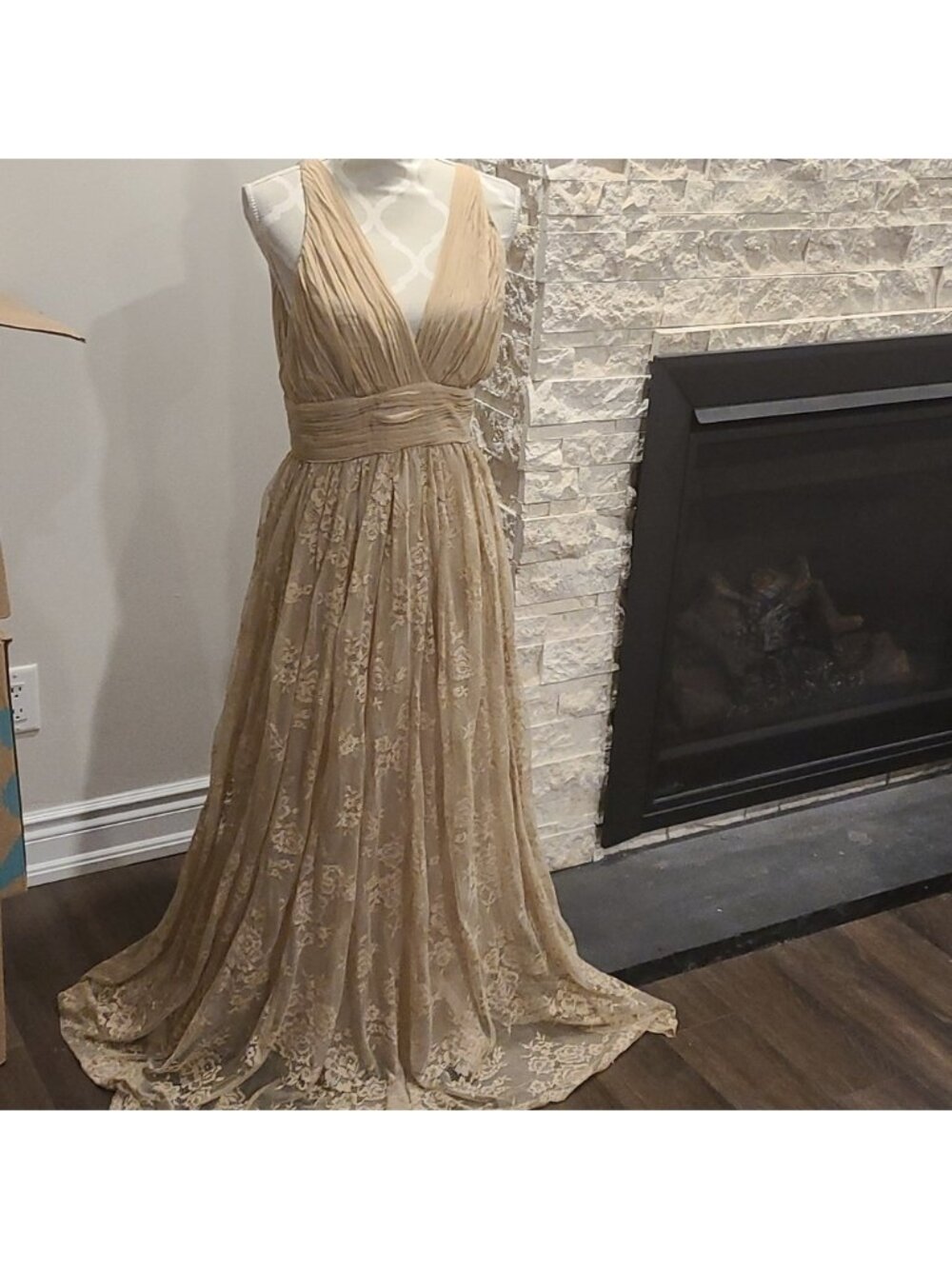 Zara silk blend lace sleeveless gown / dress